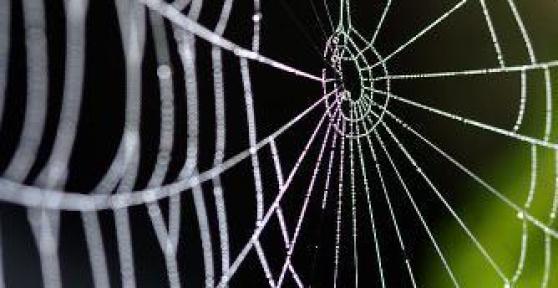 Comment enlever des toiles d'araignée