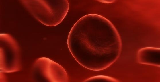 Quels sont les symptômes liés à un taux de plaquettes élevé