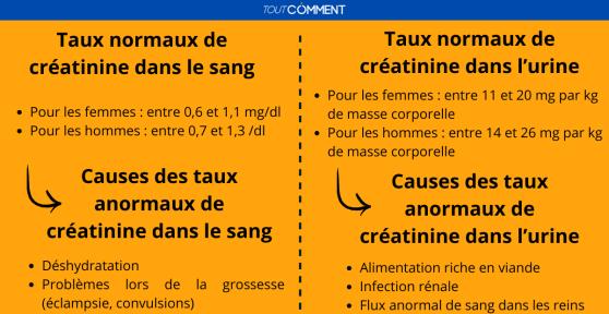 Quel est le taux de créatinine normal