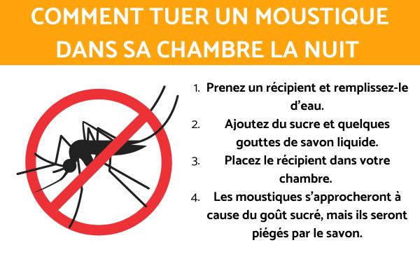 Comment tuer un moustique dans sa chambre la nuit
