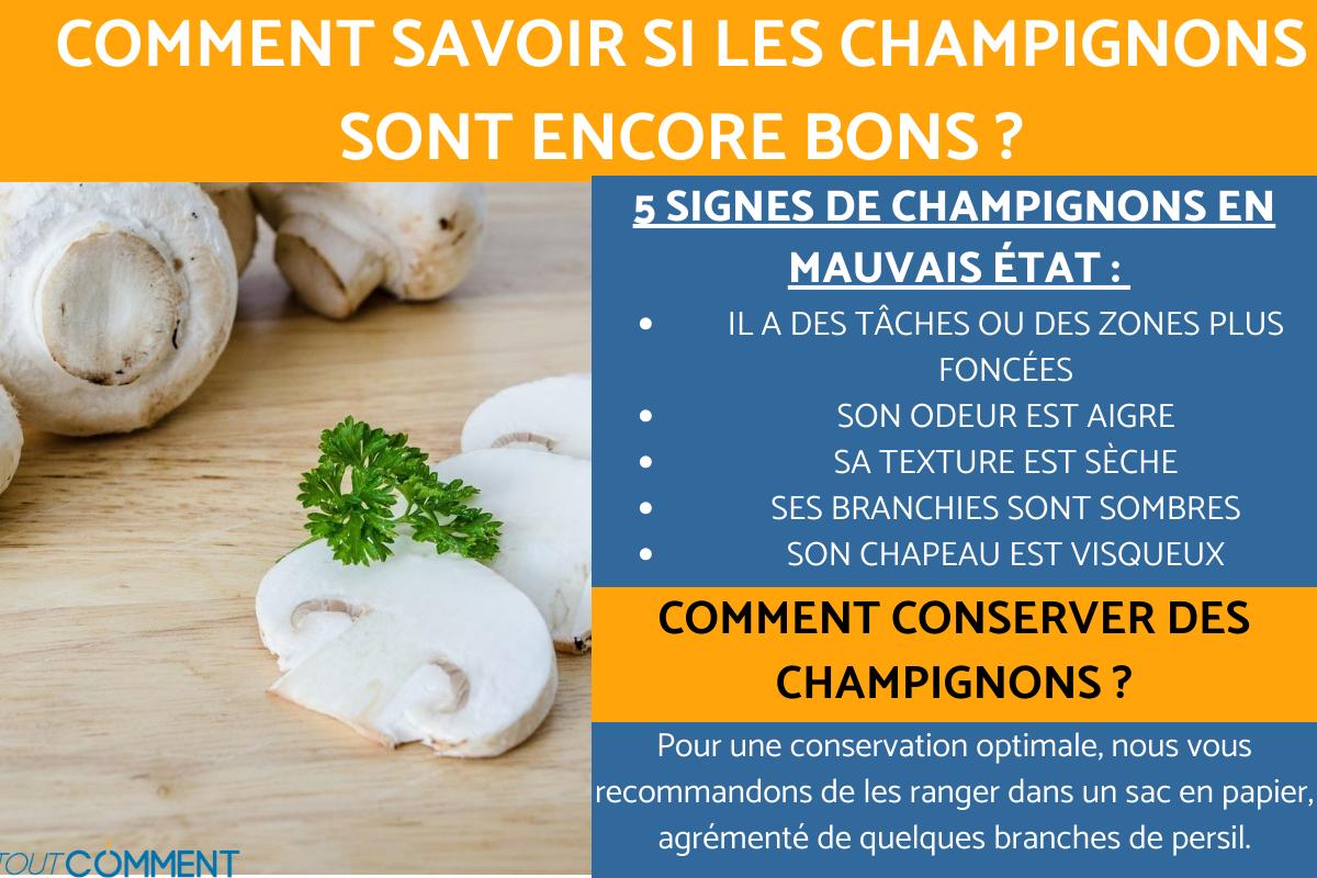 Comment savoir si les champignons sont encore bons