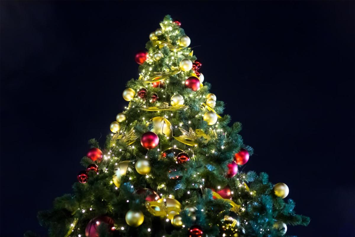 Pourquoi un sapin à Noël