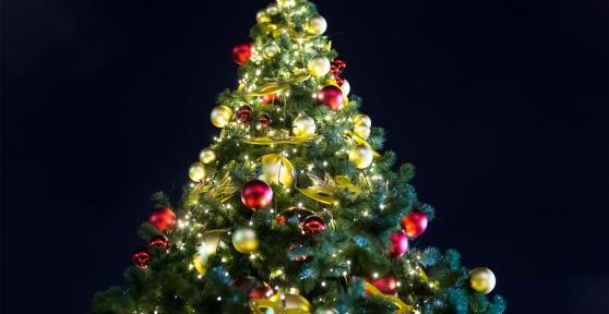 Pourquoi un sapin à Noël
