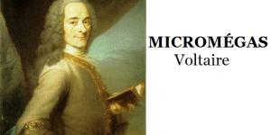 Quelle est la morale de Micromégas de Voltaire
