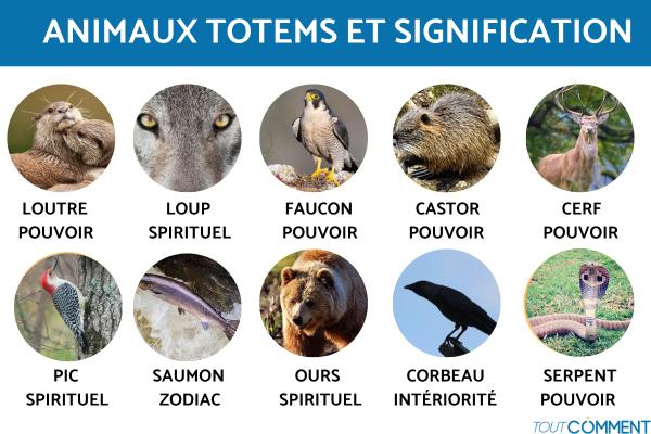 Quel est mon animal totem
