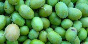 Comment enlever l'amertume des olives