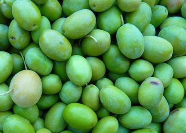 Comment enlever l'amertume des olives