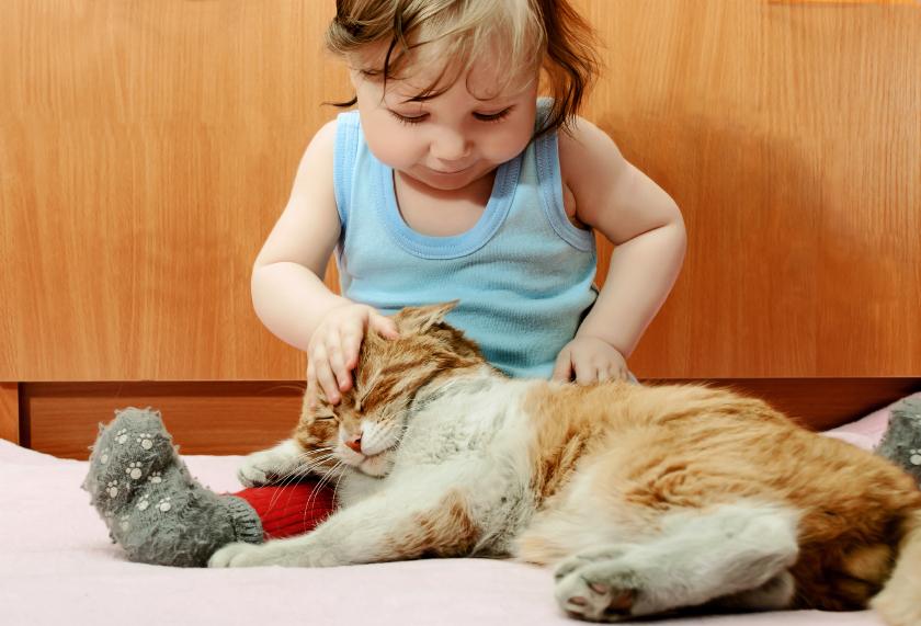 Comment vermifuger un chat naturellement 7 étapes