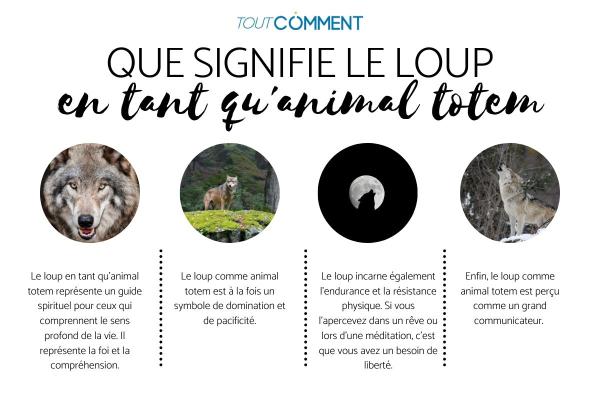 Que signifie le loup en tant qu'animal totem