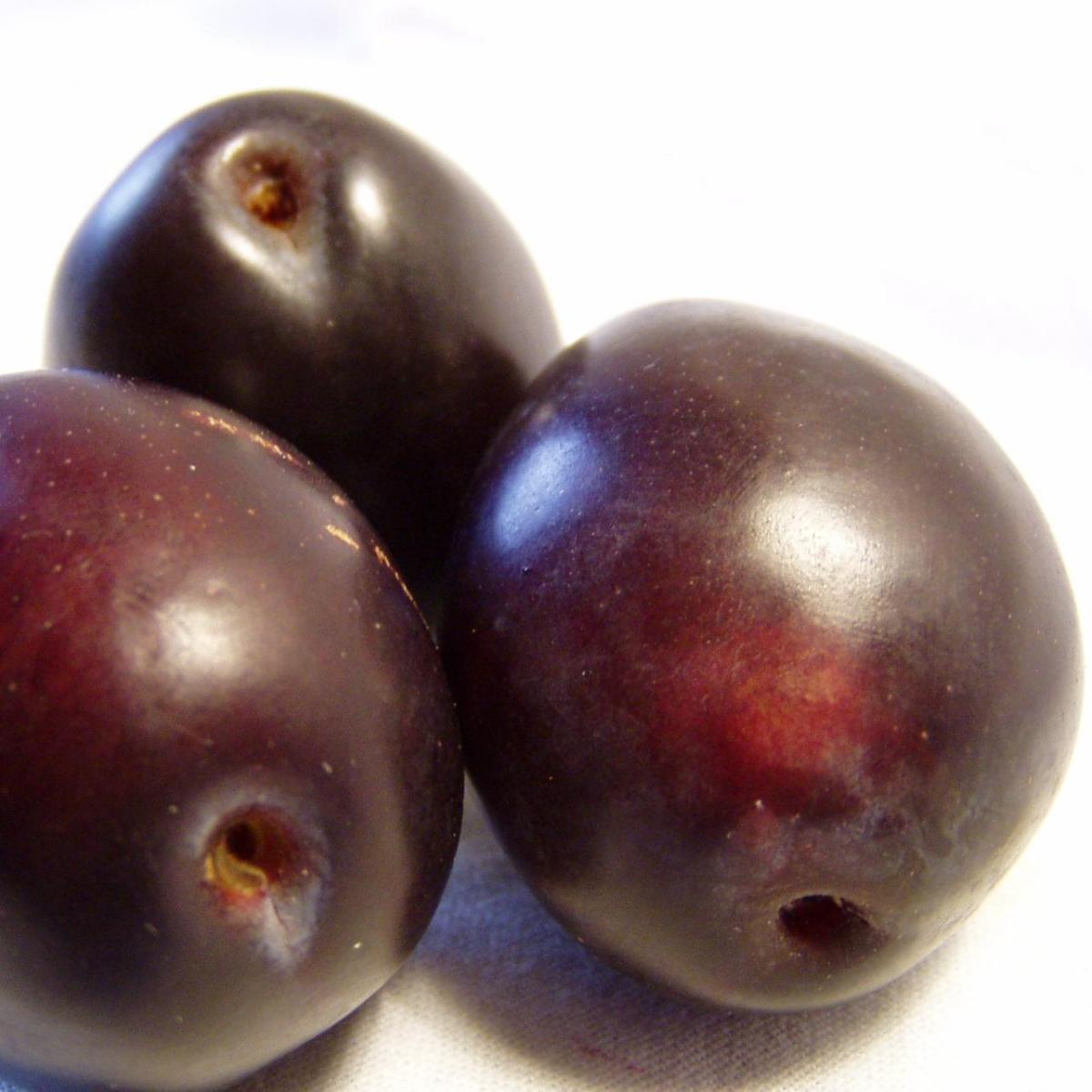 Comment faire des prunes en bocaux