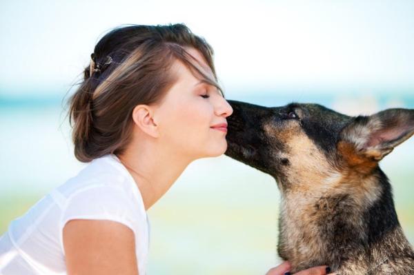 10 signes qui montrent que mon chien m'aime