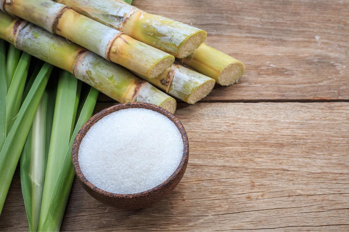 D'où vient le sucre ?