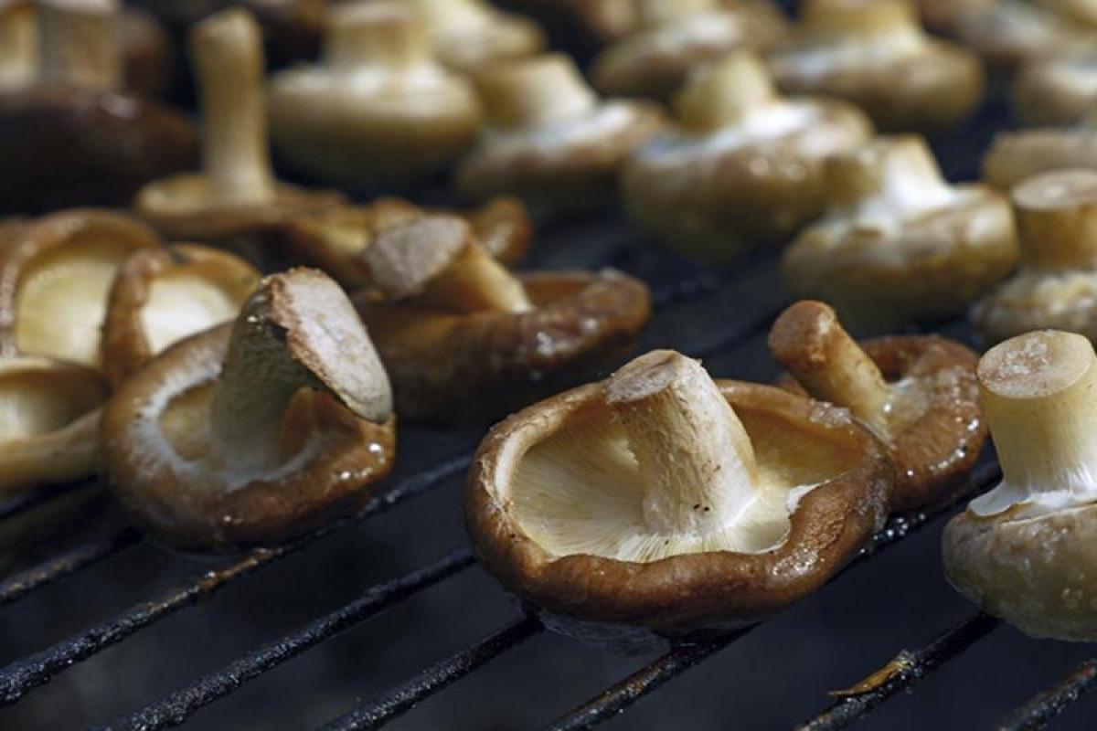 Recettes de champignons à la plancha