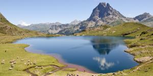 Quelle est la différence entre un lac et un étang