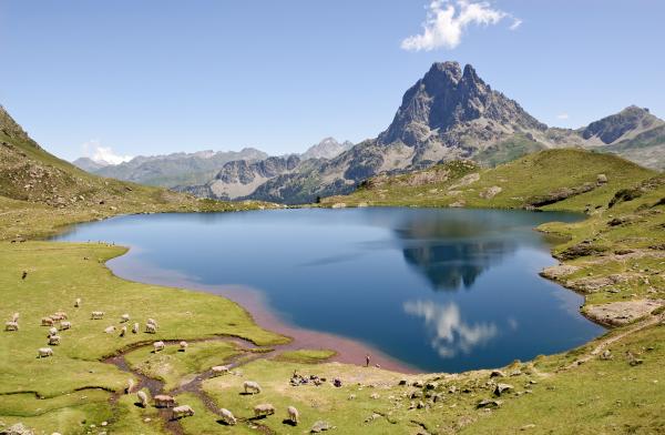Quelle est la différence entre un lac et un étang