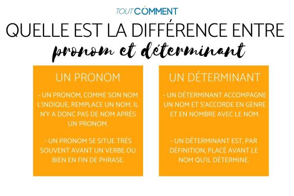 Quelle est la différence entre pronom et déterminant