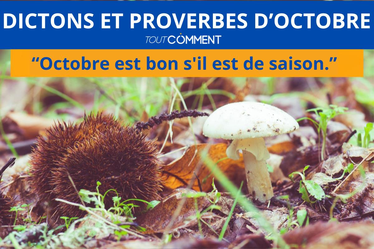 Dictons et proverbes d'octobre