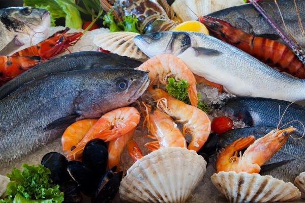 Quels aliments contiennent le moins de calories - Les poissons avec le moins de calories