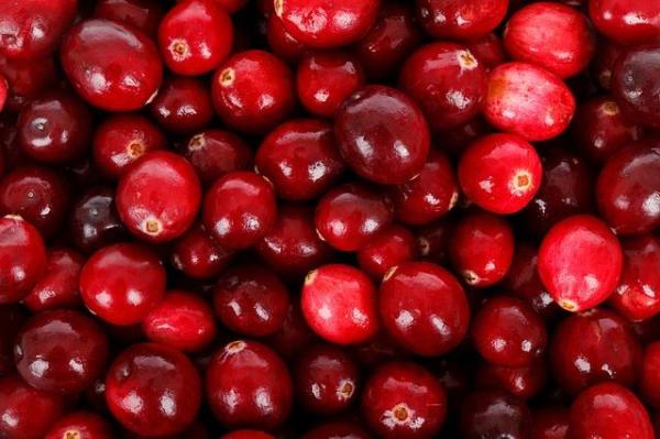 Cranberry - Propriétés de la canneberge - Valeurs nutritionnelles de la canneberge