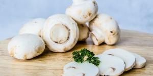 Comment conserver les champignons