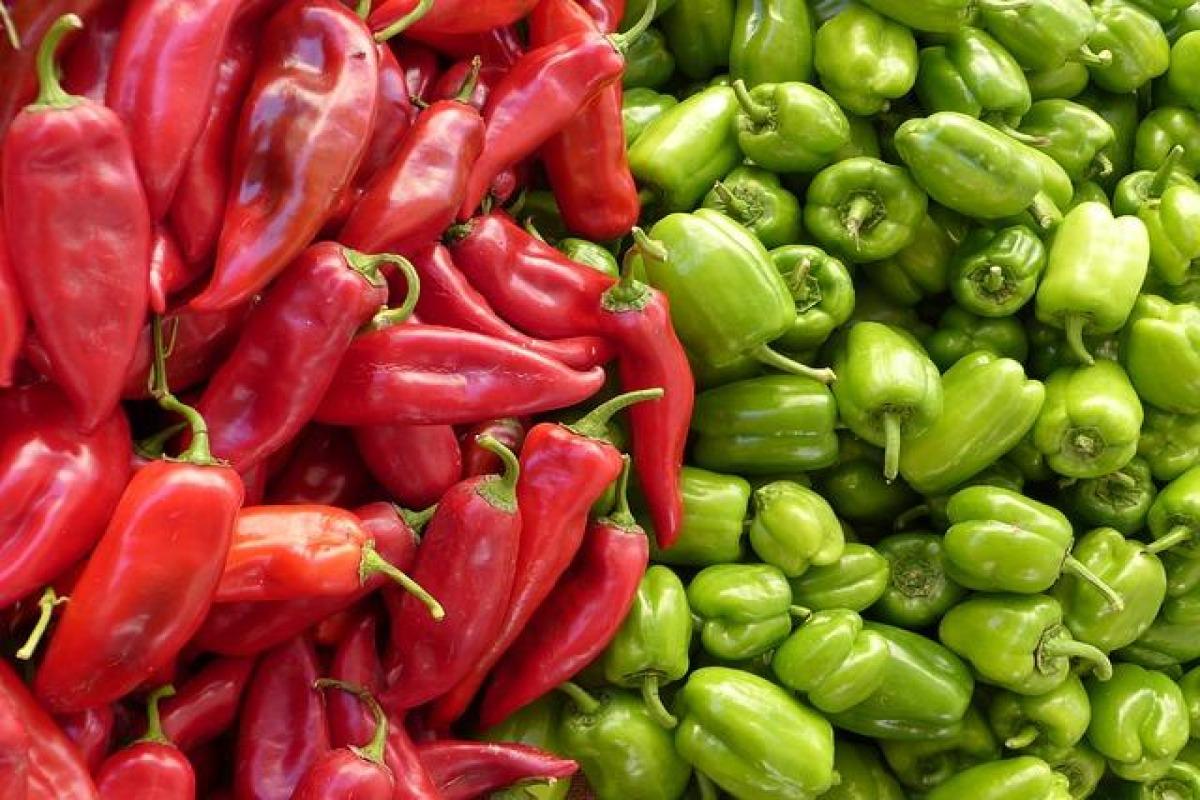 Comment congeler des poivrons
