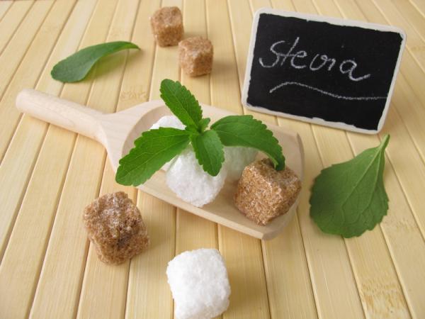 Comment faire sécher les feuilles de stevia
