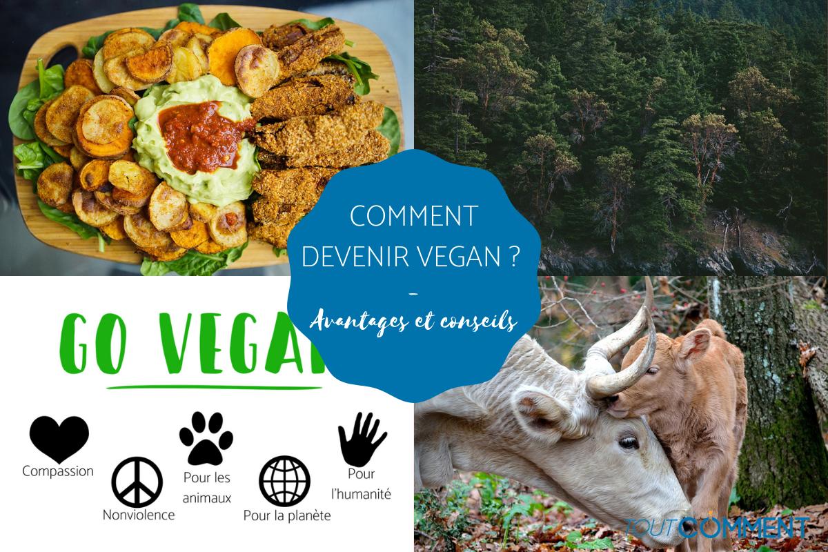 Comment devenir végan