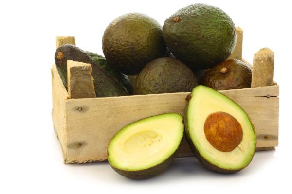 Comment congeler de l'avocat