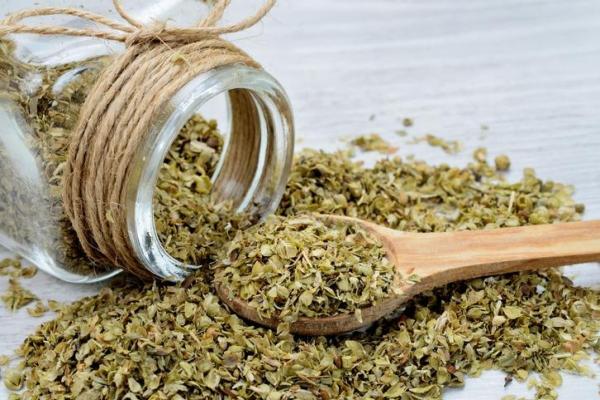 Comment faire une infusion d'origan - Les bienfaits de l’origan contre la toux - À quoi sert l'infusion d'origan