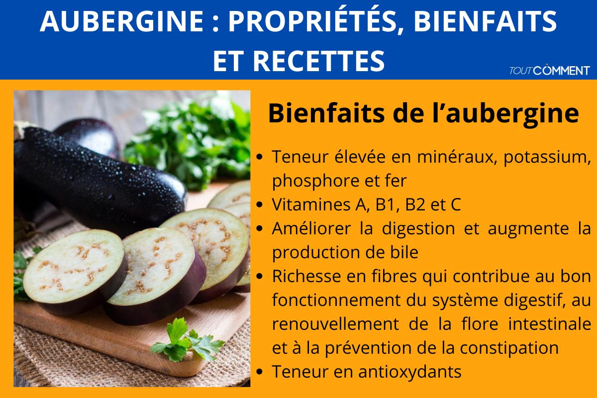 Aubergine : propriétés, bienfaits et recettes
